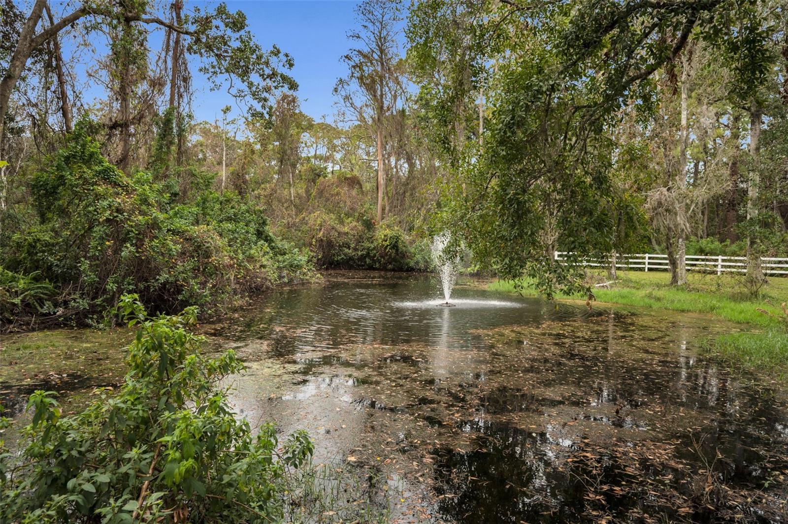 Image 87 of 97 For 249 Dogwood Trace