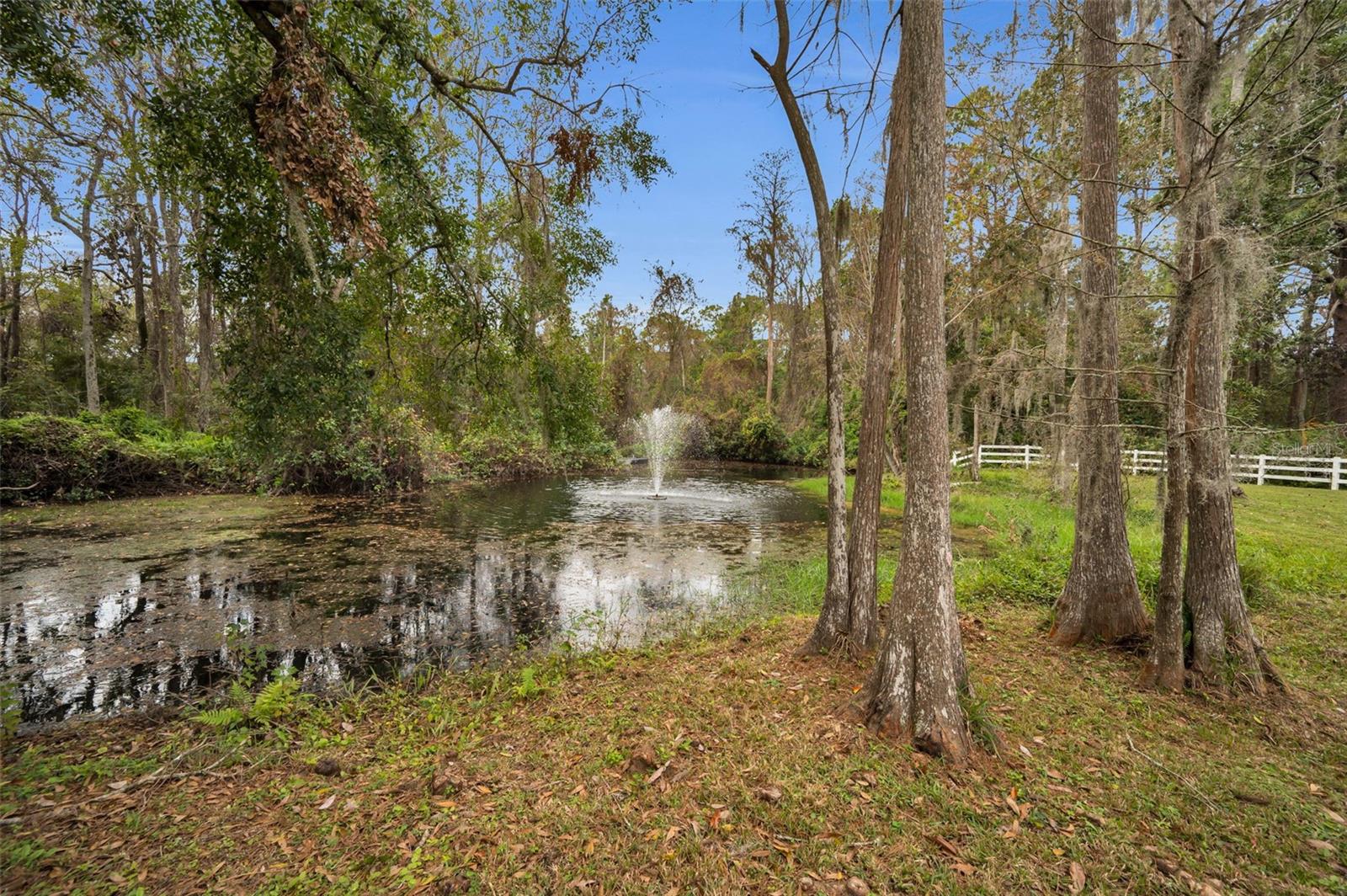 Image 88 of 97 For 249 Dogwood Trace