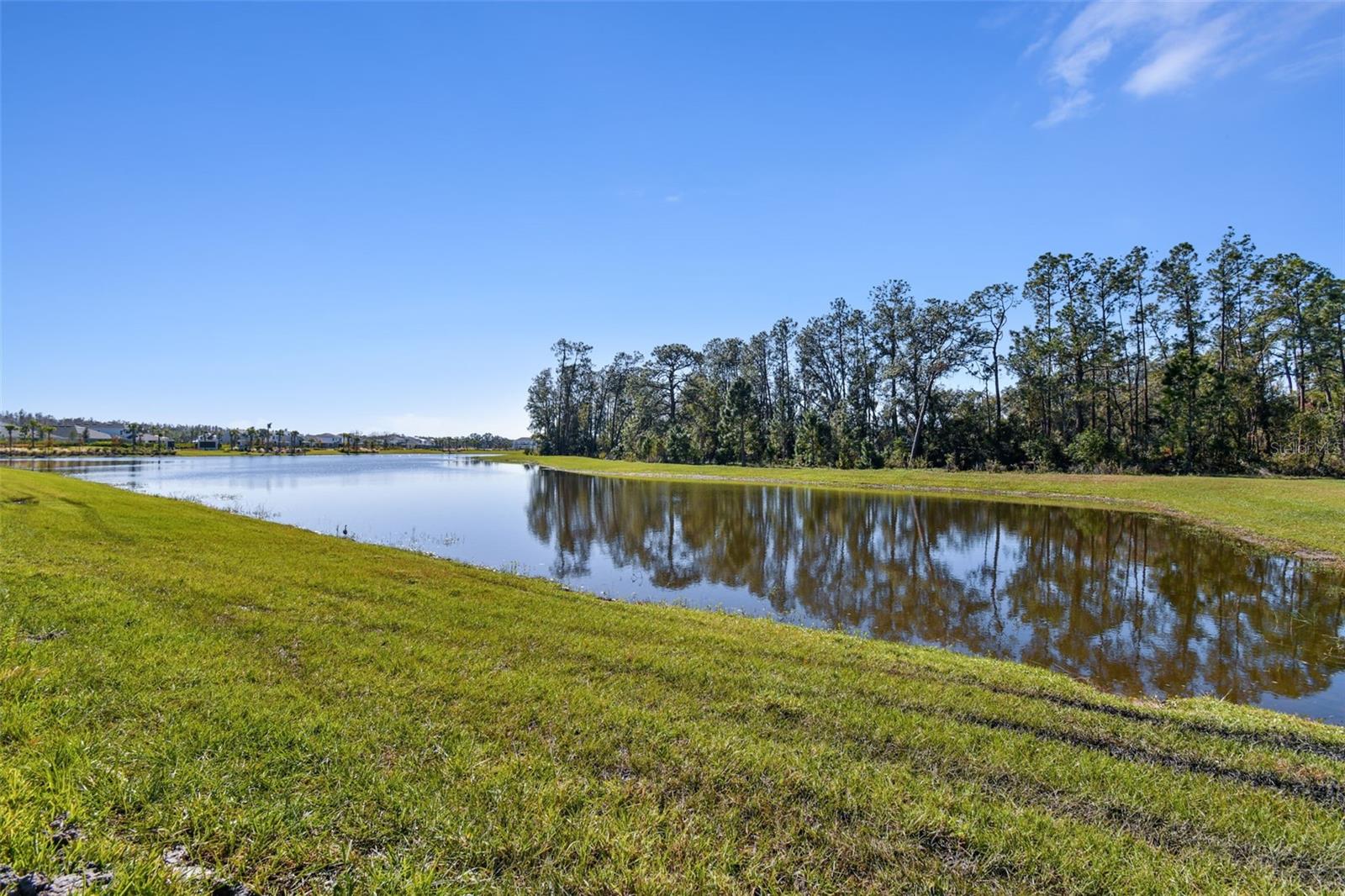 Image 82 of 95 For 33764 Ocean Spray Lane