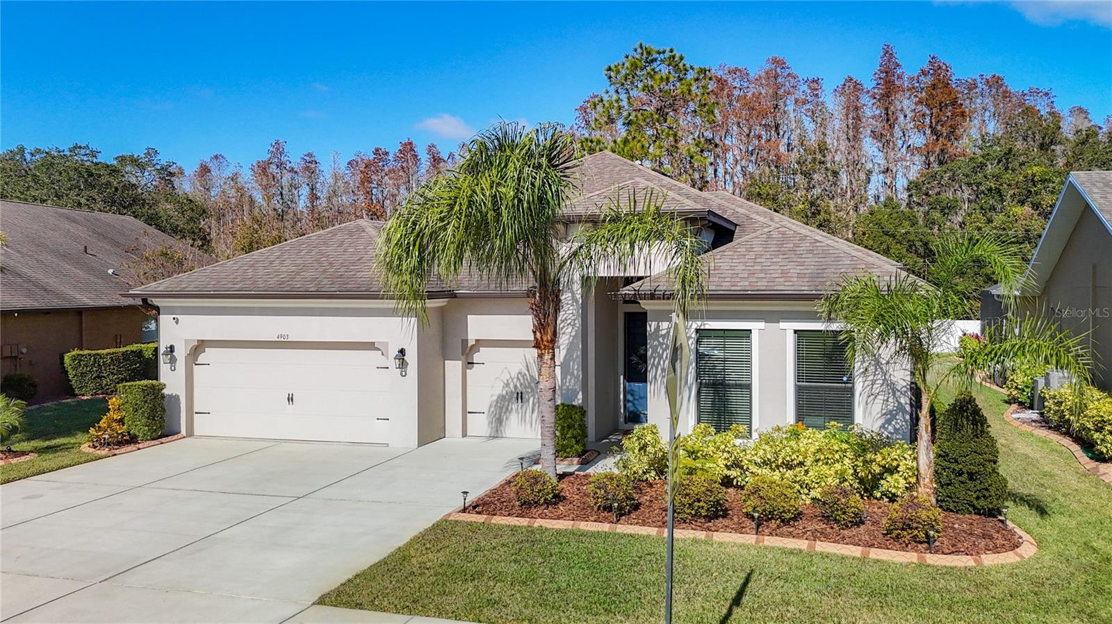 Details for 4903 Diamonds Palm Loop, WESLEY CHAPEL, FL 33543