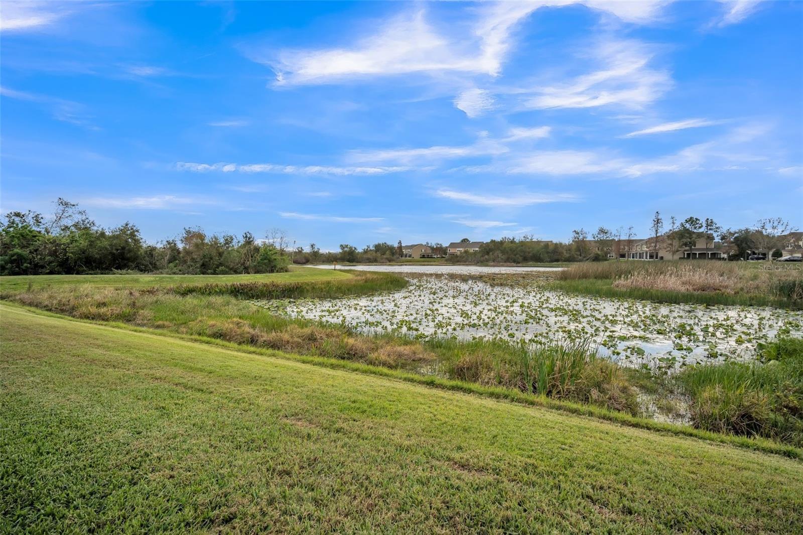 Image 2 of 30 For 10157 Bessemer Pond Court