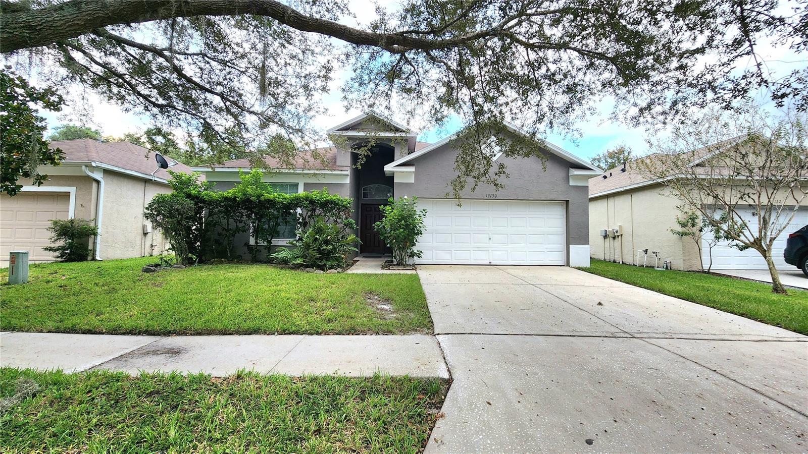 Details for 19130 Wood Sage Drive, TAMPA, FL 33647