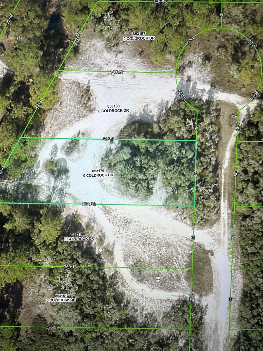 Details for Coldrock Drive, WEBSTER, FL 33597