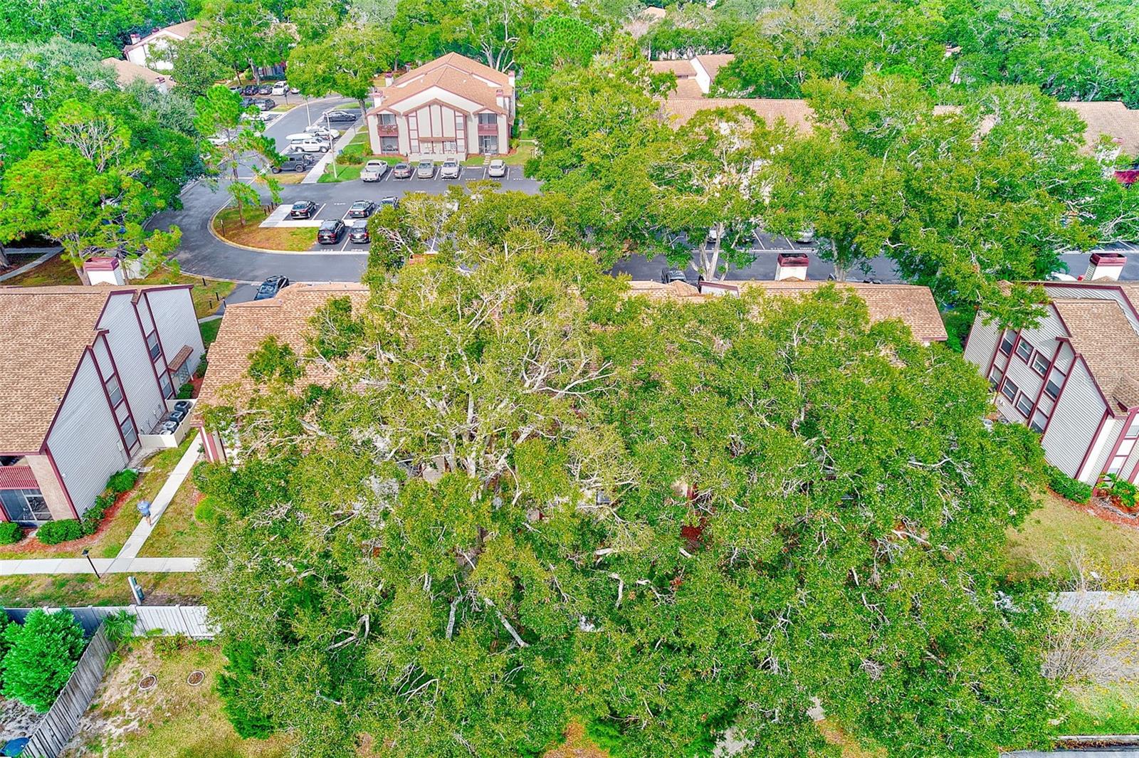 Image 35 of 41 For 1568 Nantucket Court 1302