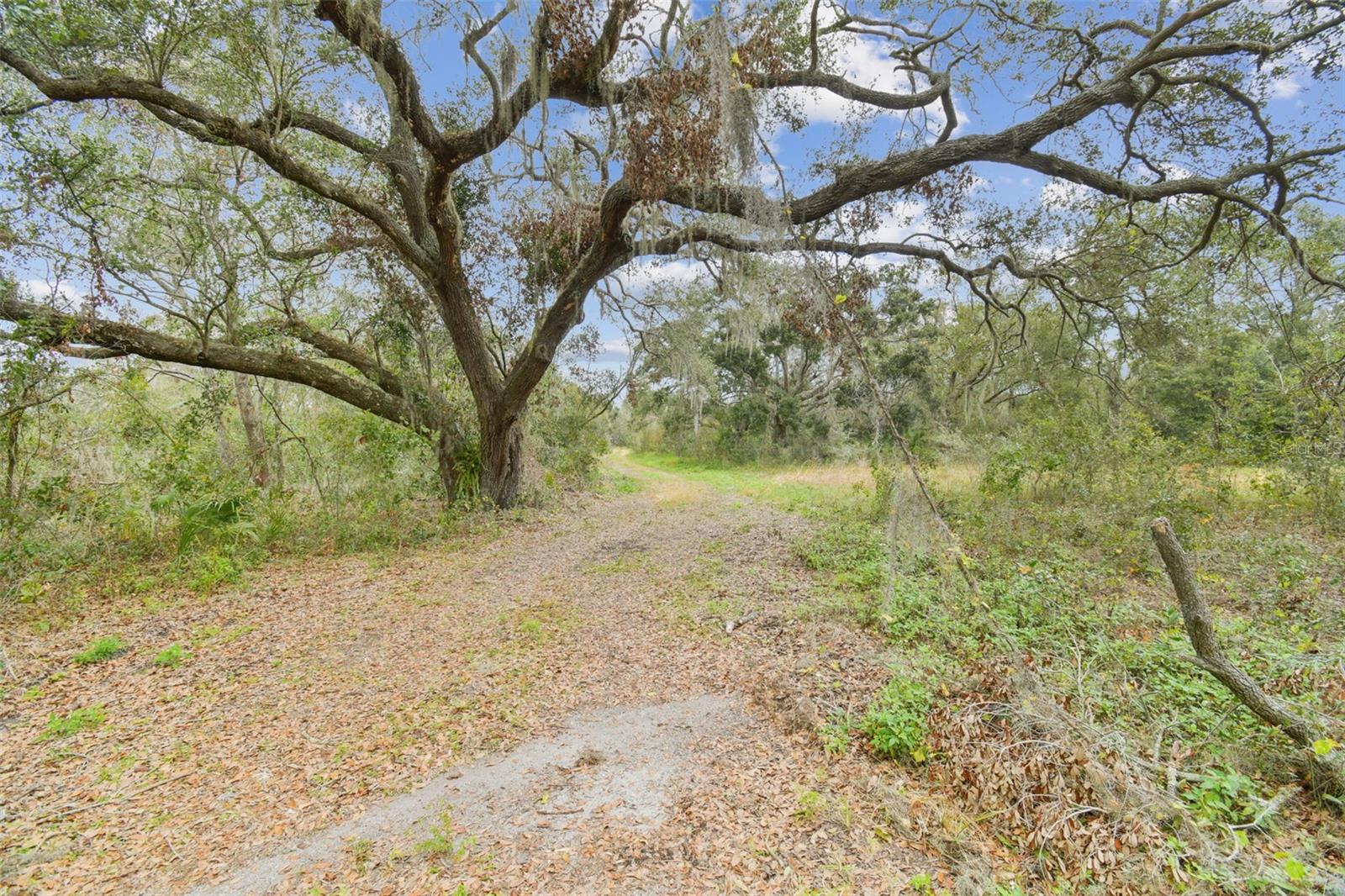 Image 9 of 60 For 6930 Muck Pond Road