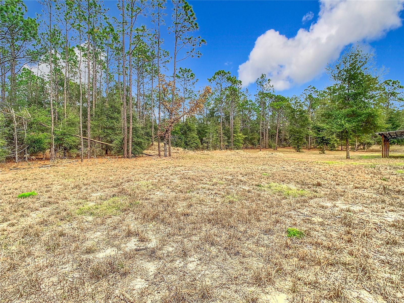 Image 81 of 81 For 29508 Wildlife Ln