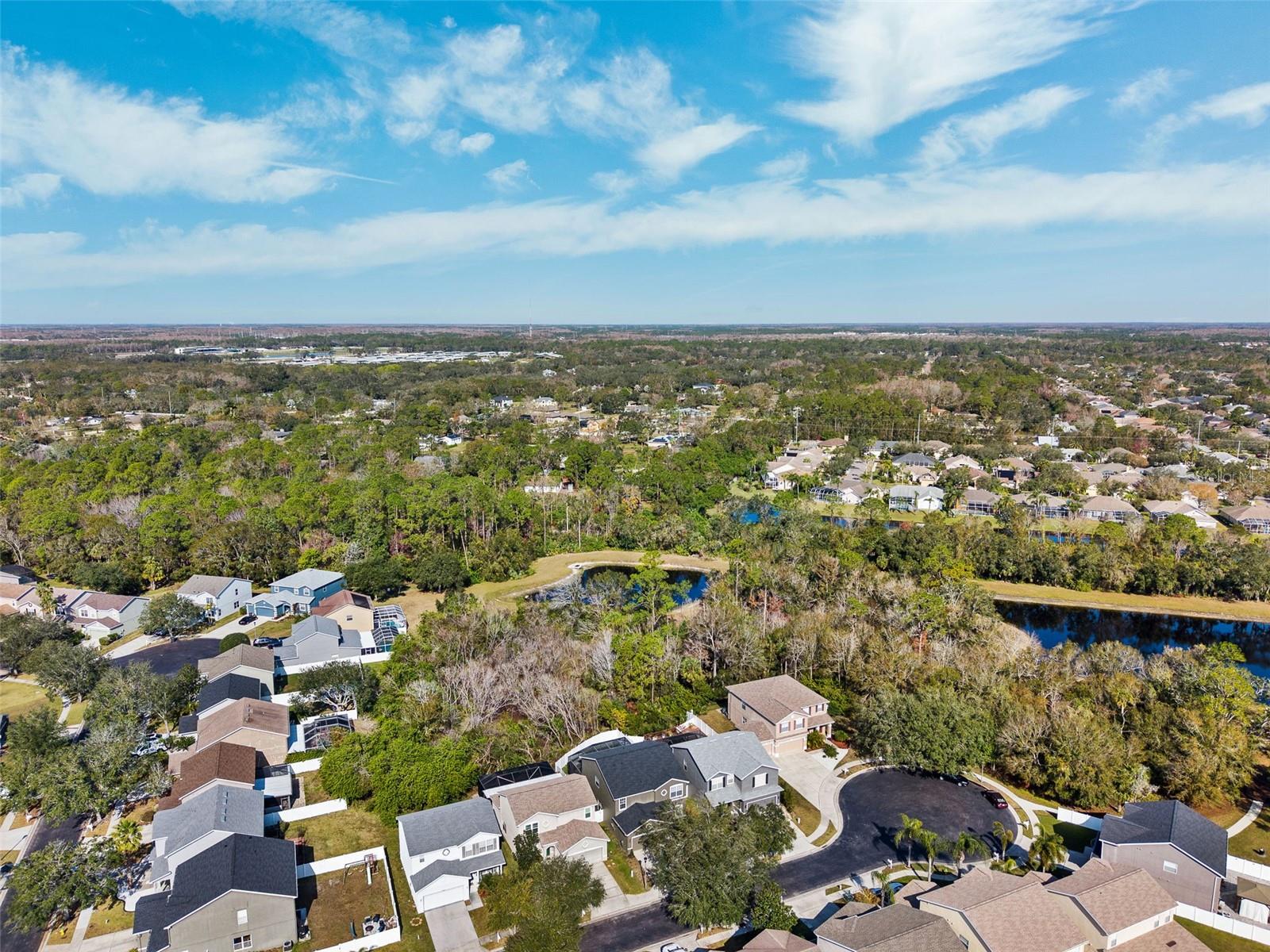 Image 39 of 46 For 12509 Bay Branch Court