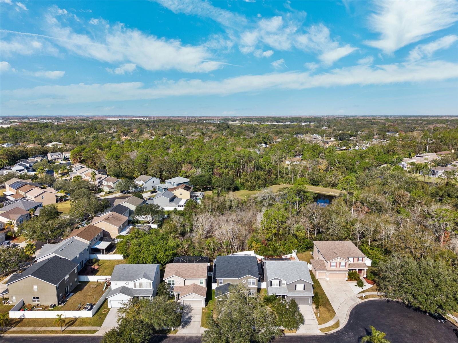 Image 40 of 46 For 12509 Bay Branch Court