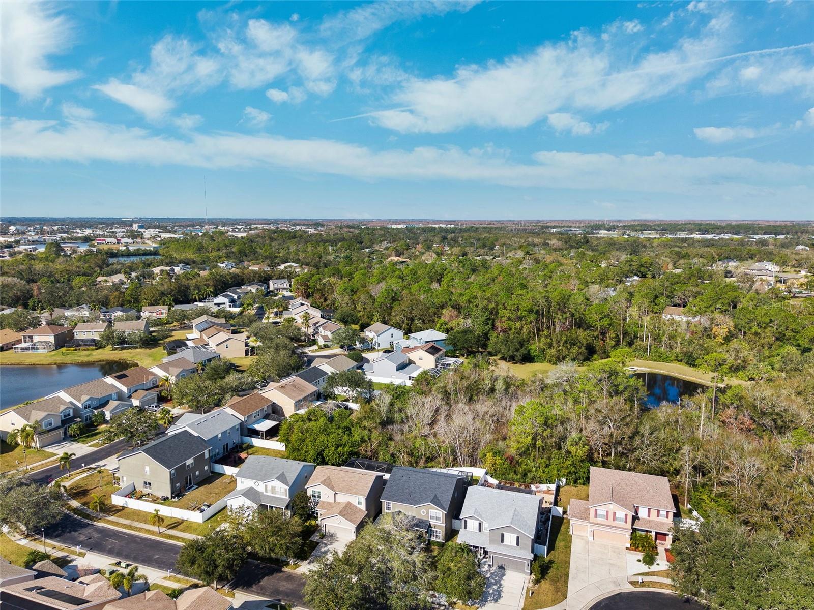 Image 41 of 46 For 12509 Bay Branch Court