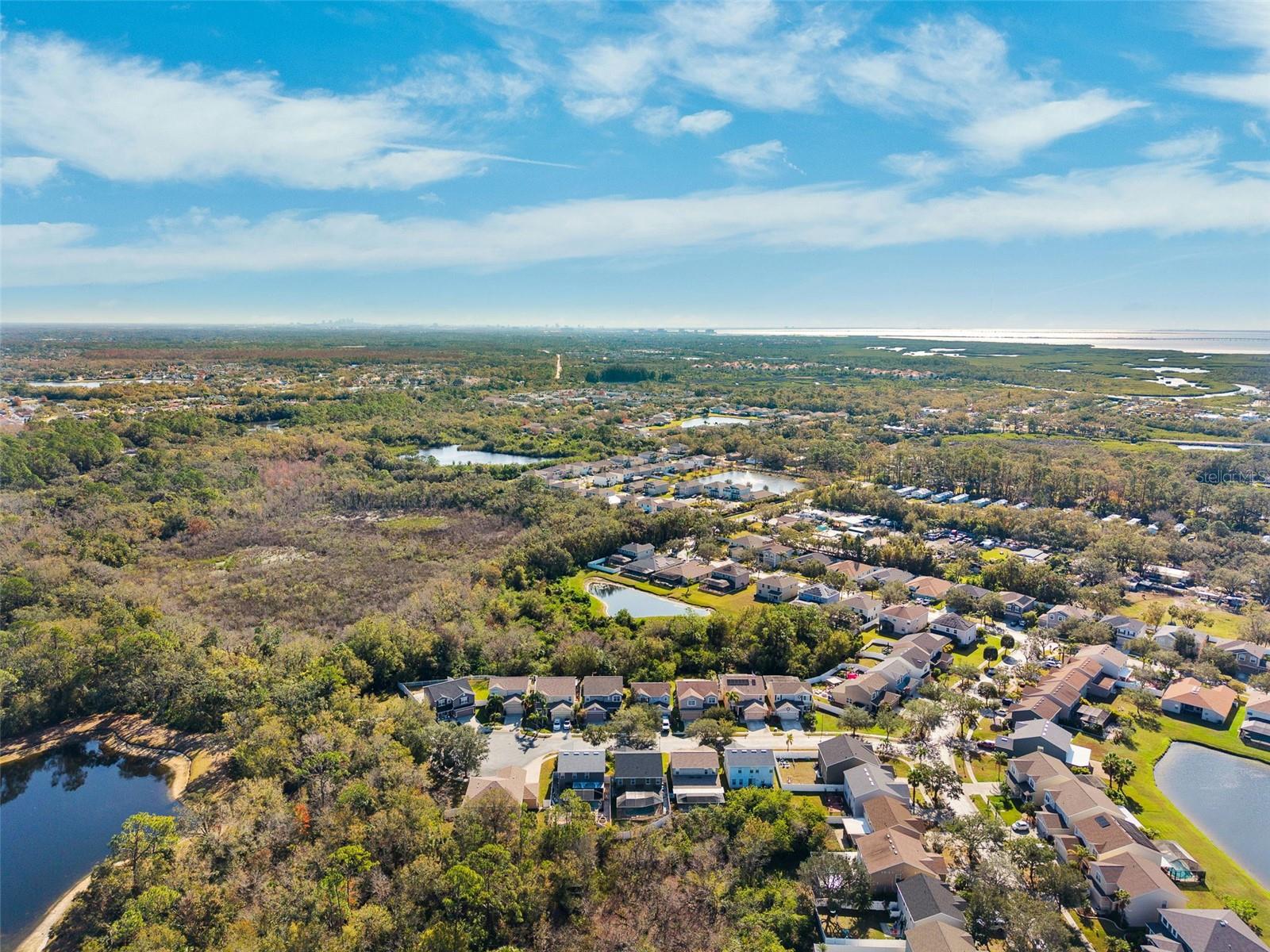 Image 42 of 46 For 12509 Bay Branch Court