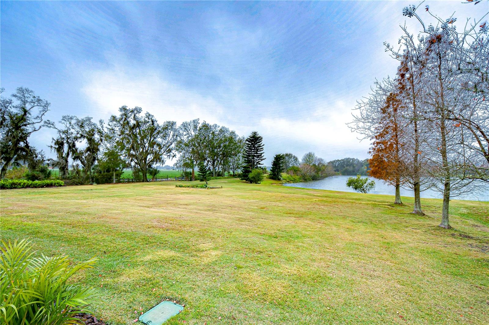 Listing photo id 2 for 10929 Brooksnest Court