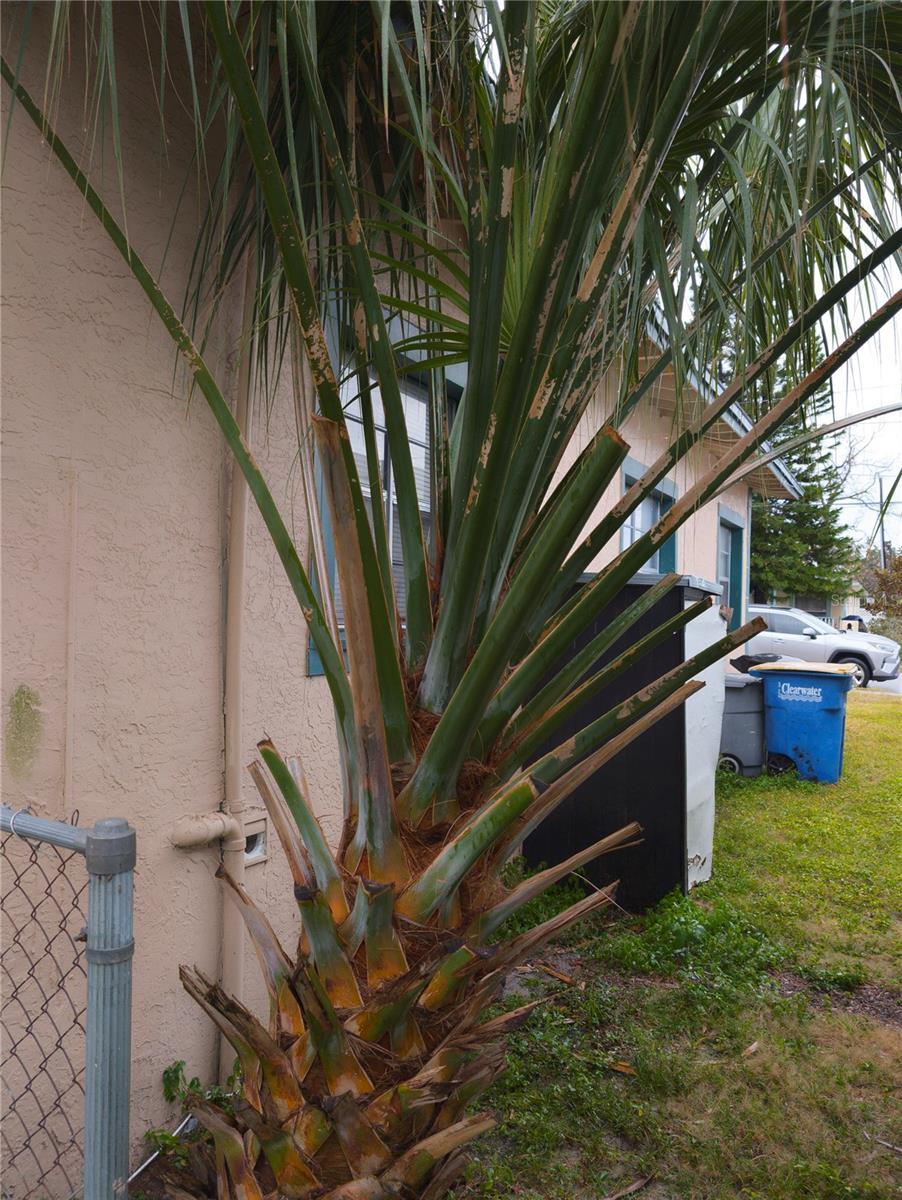 Image 6 of 37 For 1106 Carlton Street