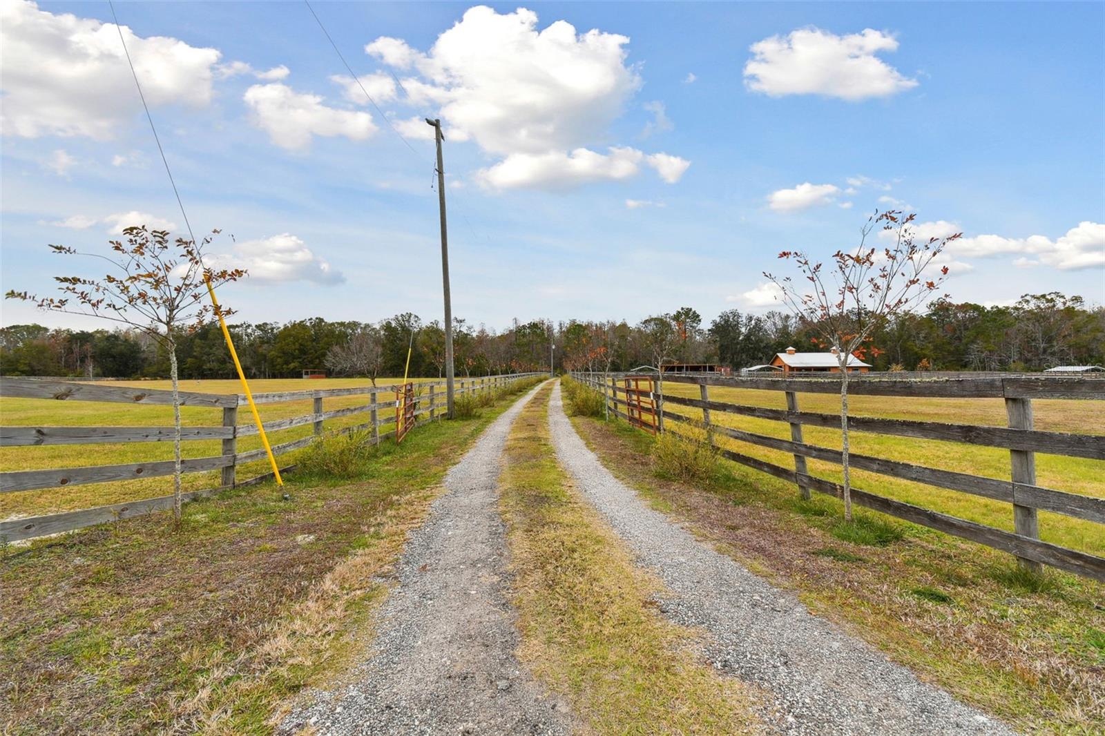 Image 81 of 96 For 25723 Armenian Lane