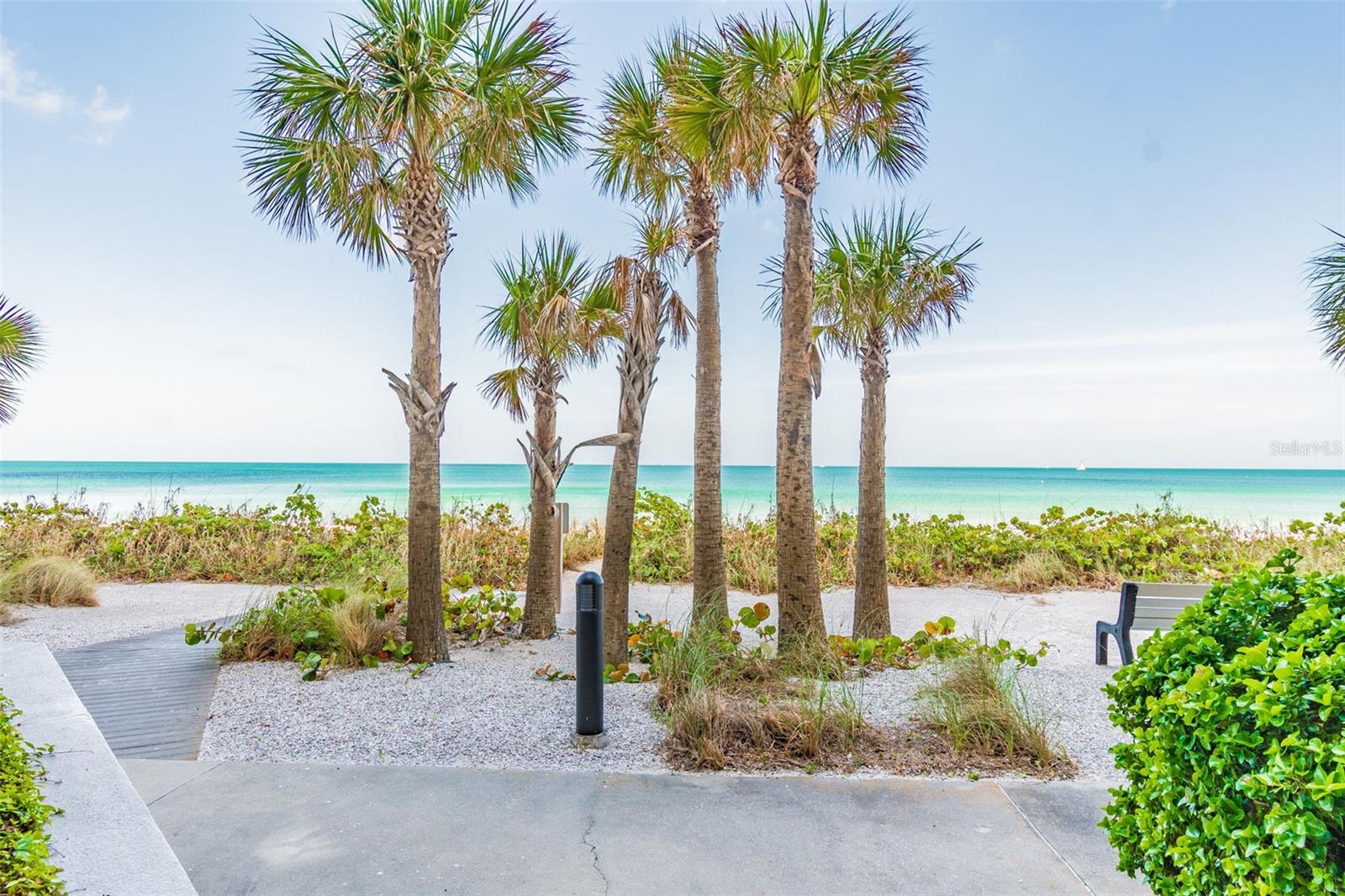 Listing photo id 42 for 1660 Gulf Boulevard Ph1