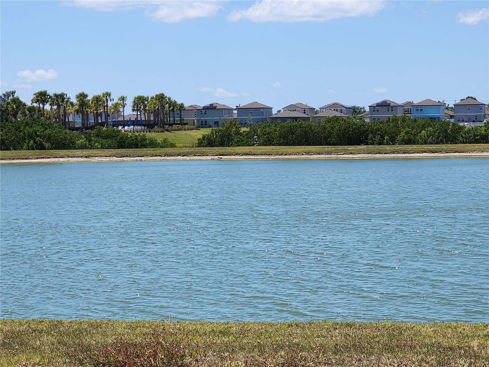 Image 16 of 20 For 838 Olive Conch Street