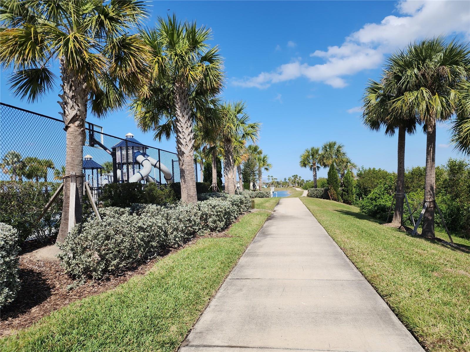 Image 18 of 20 For 838 Olive Conch Street