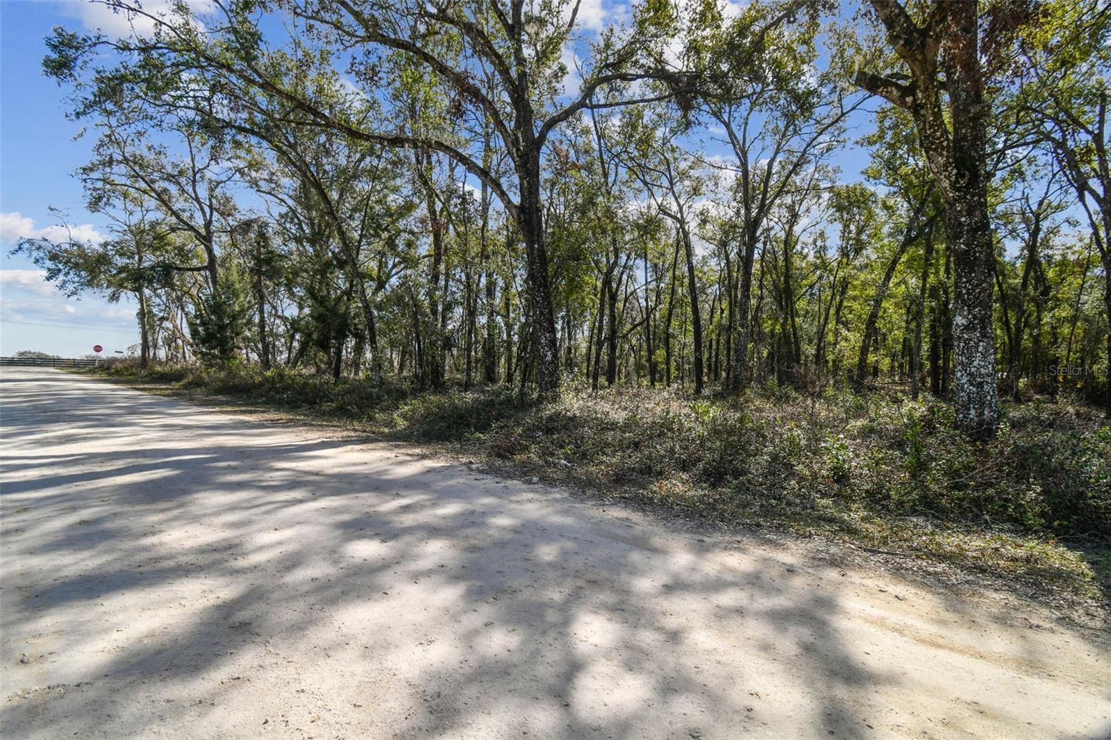 Listing photo id 20 for Mckethan Road