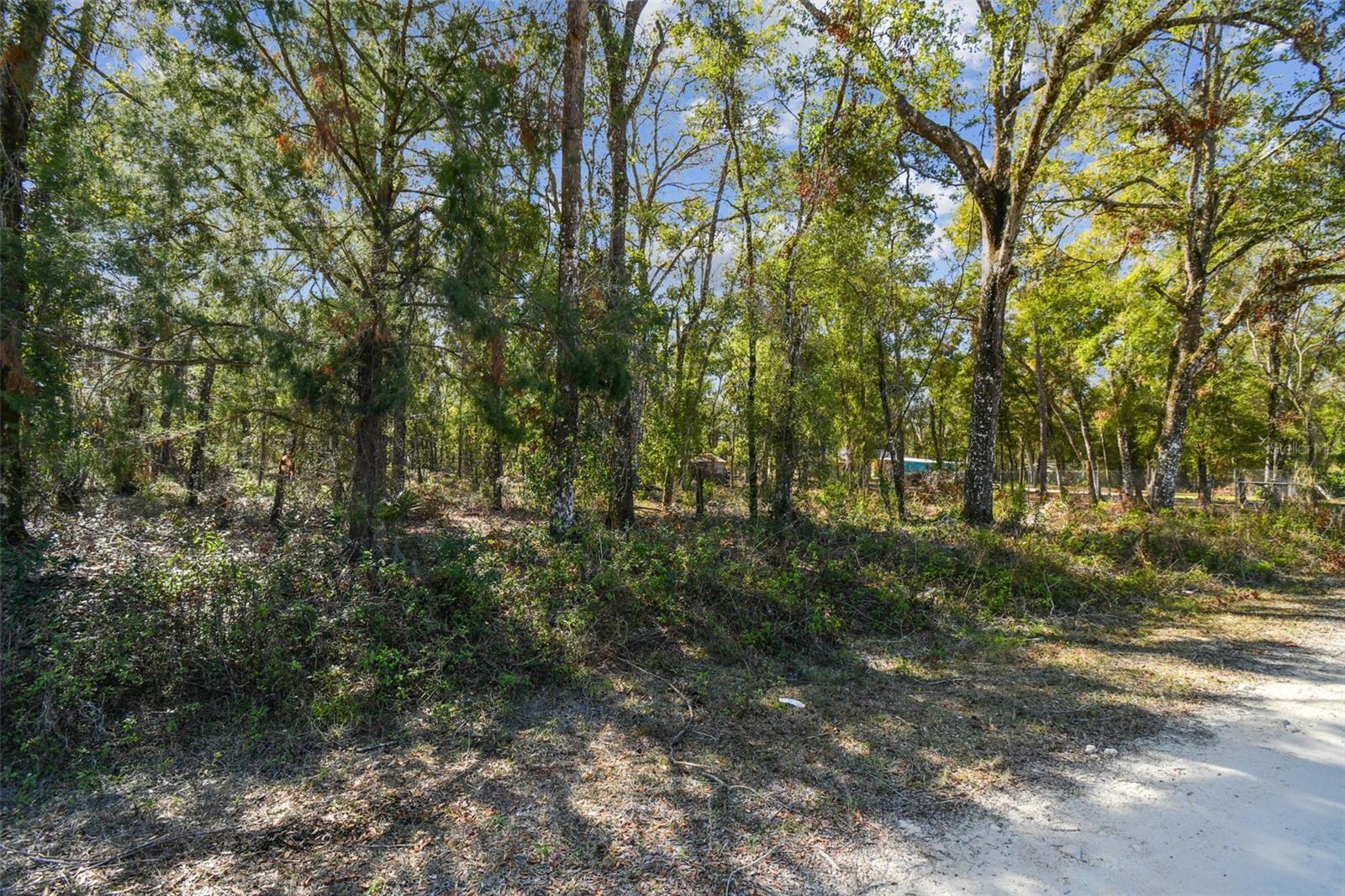 Listing photo id 23 for Mckethan Road