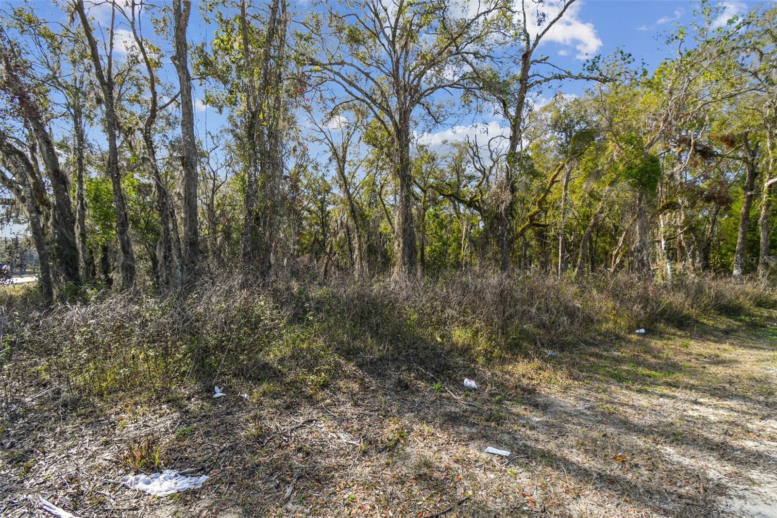 Listing photo id 25 for Mckethan Road