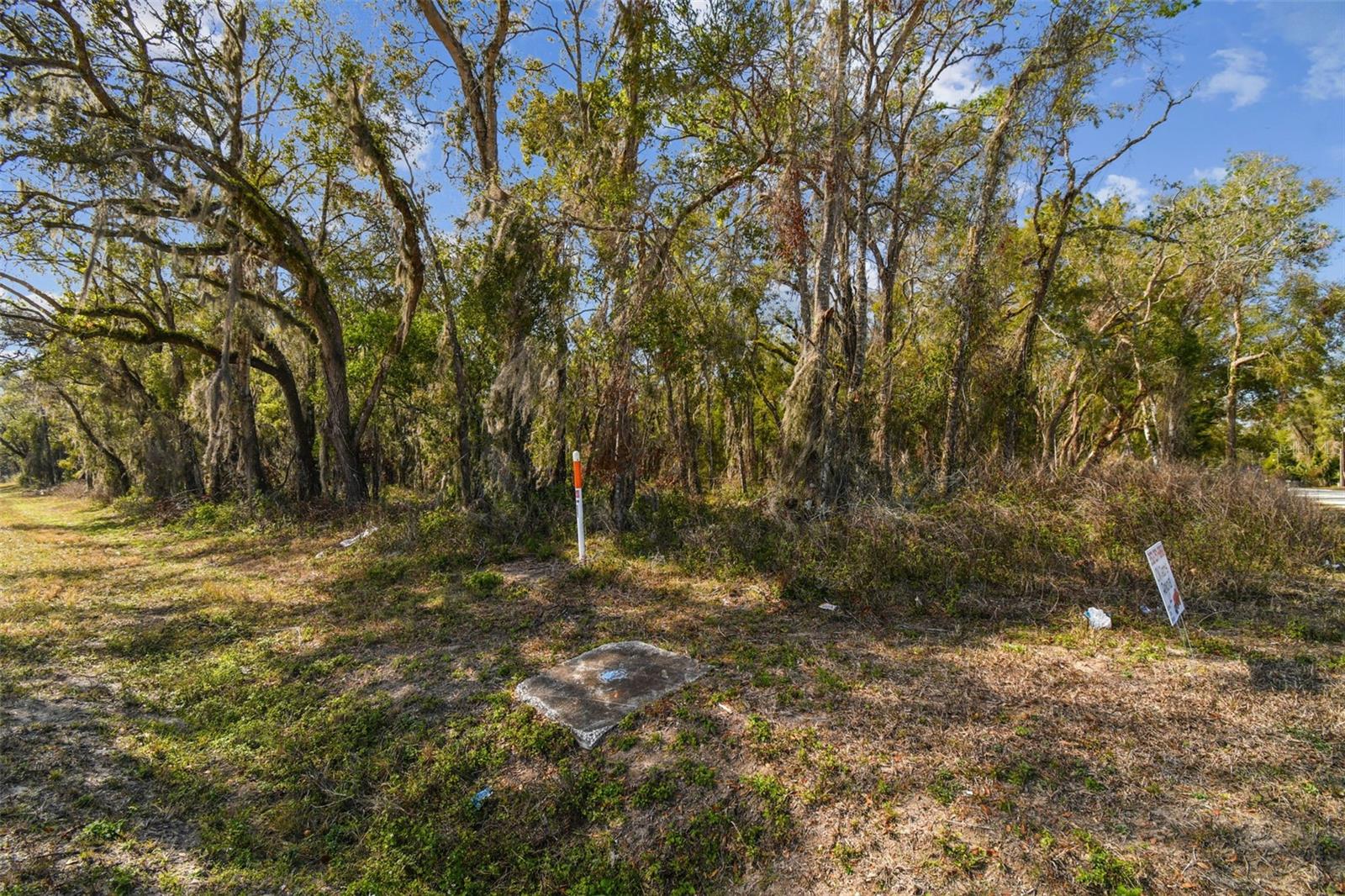 Listing photo id 27 for Mckethan Road