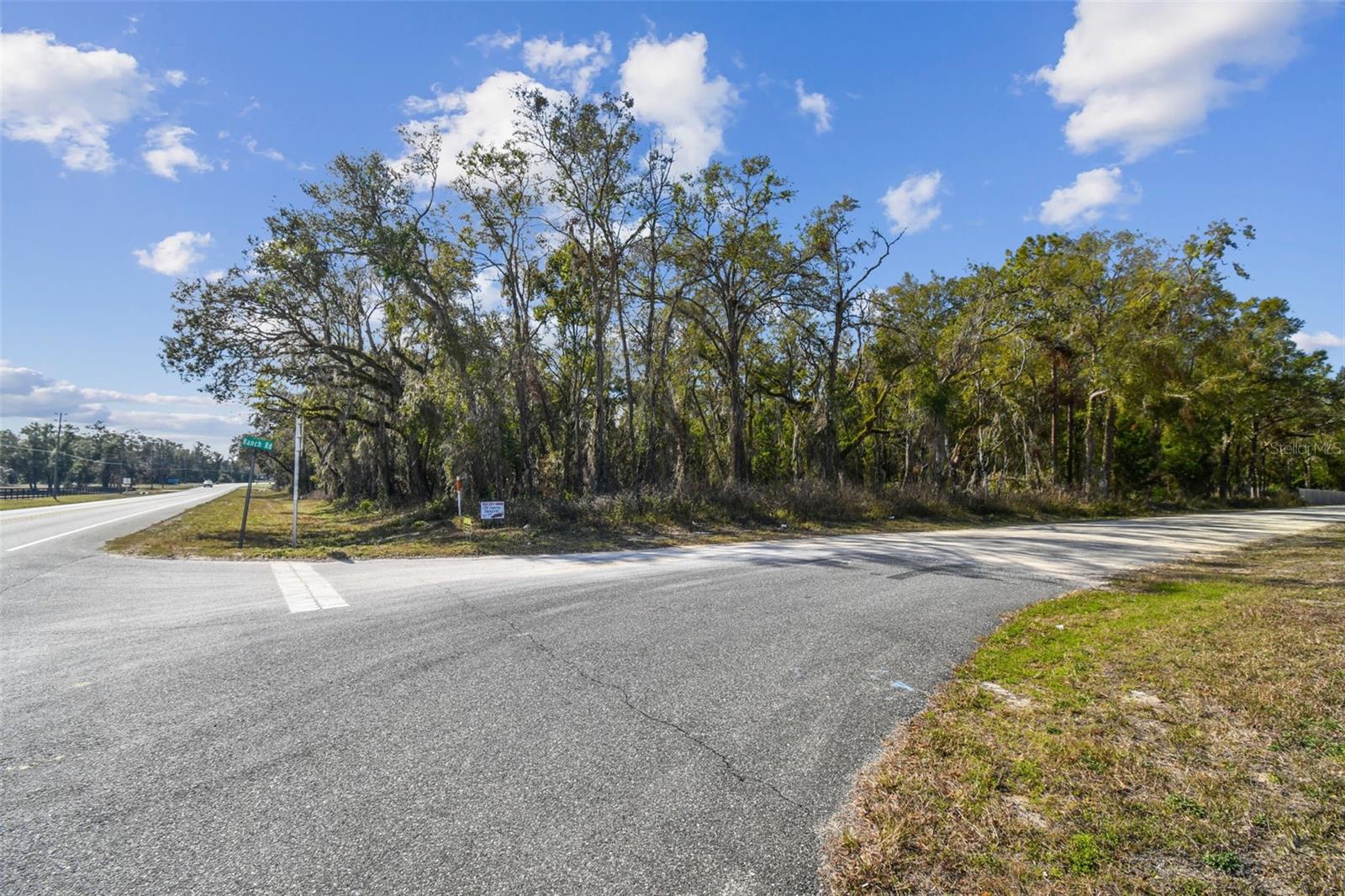 Listing photo id 31 for Mckethan Road