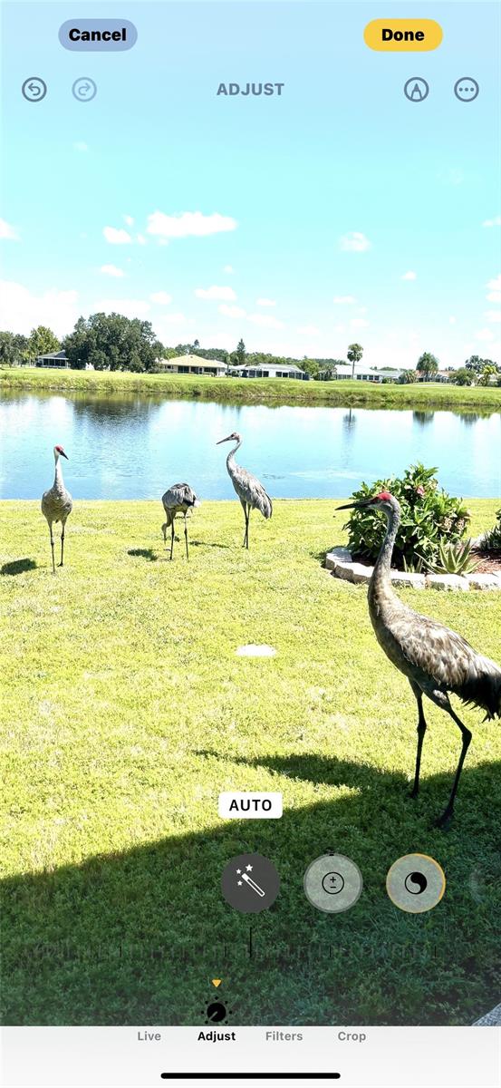 Listing photo id 34 for 1723 Wolf Laurel Drive