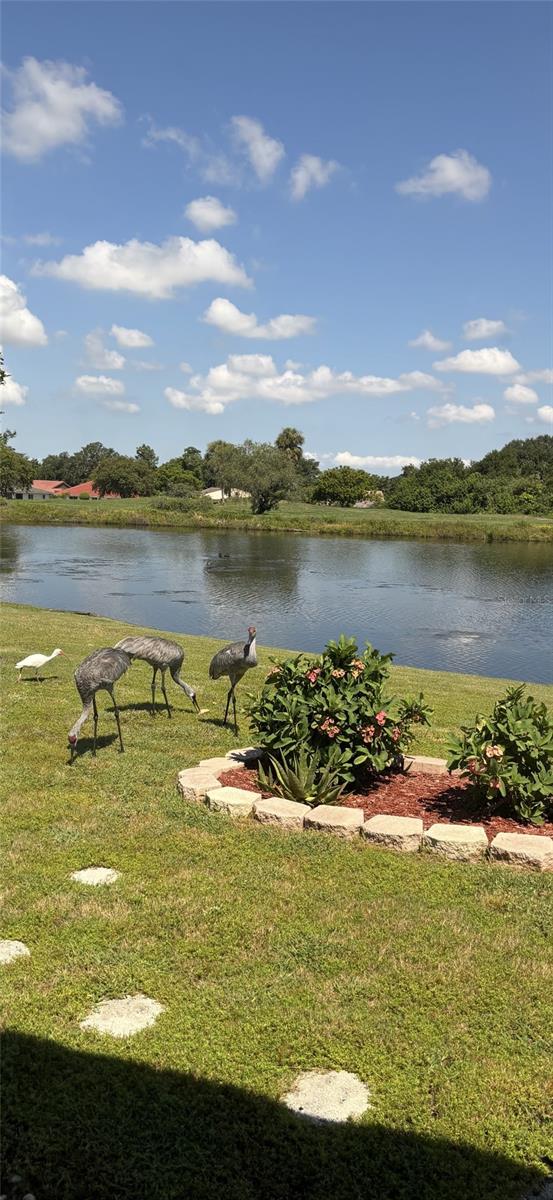 Listing photo id 35 for 1723 Wolf Laurel Drive