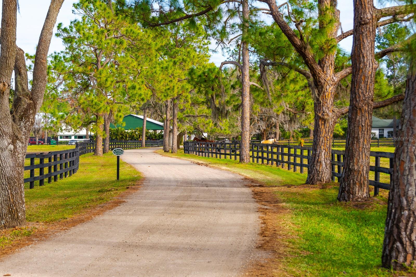 Listing photo id 2 for 18029 Lake Reflections Boulevard