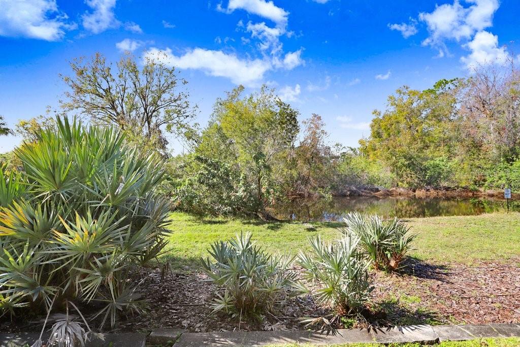 Listing photo id 26 for 17806 Althea Blue Place