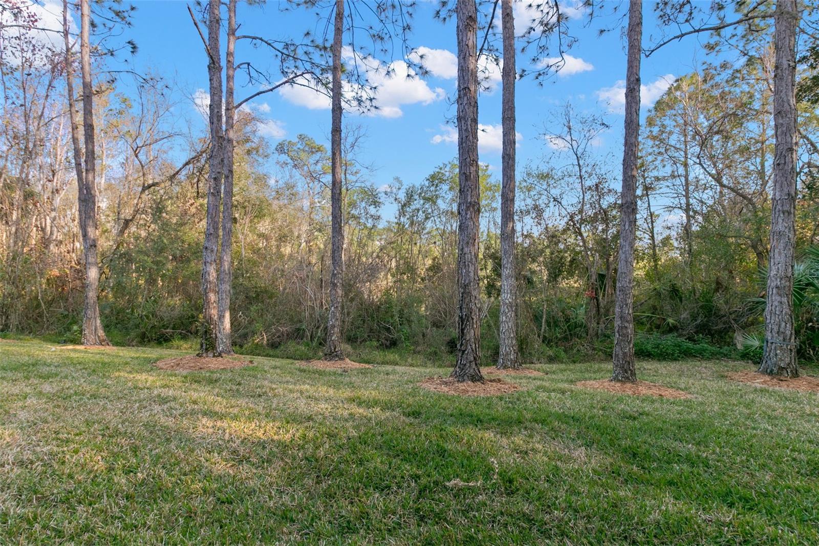 Image 14 of 25 For 8615 Hunters Key Circle