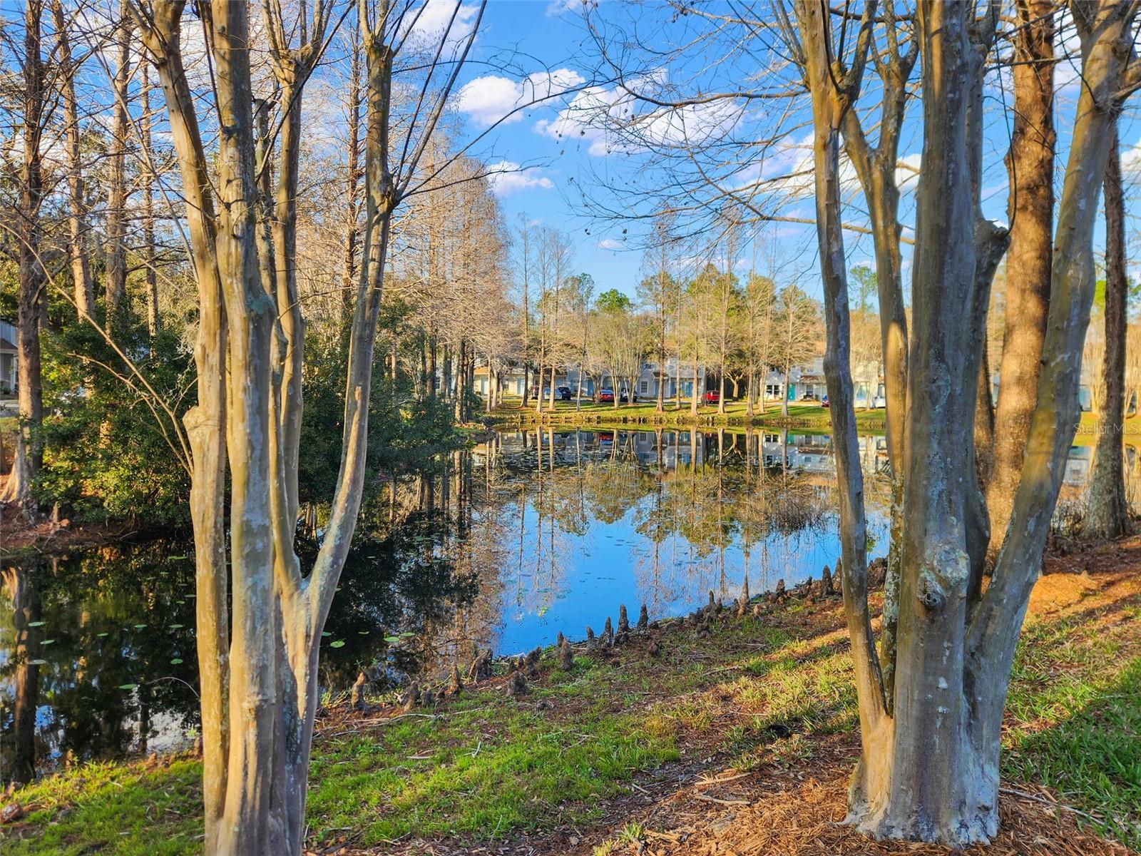 Image 25 of 25 For 8615 Hunters Key Circle