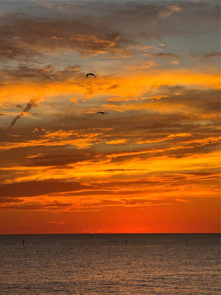 Image 31 of 31 For 450 Gulfview Boulevard 408