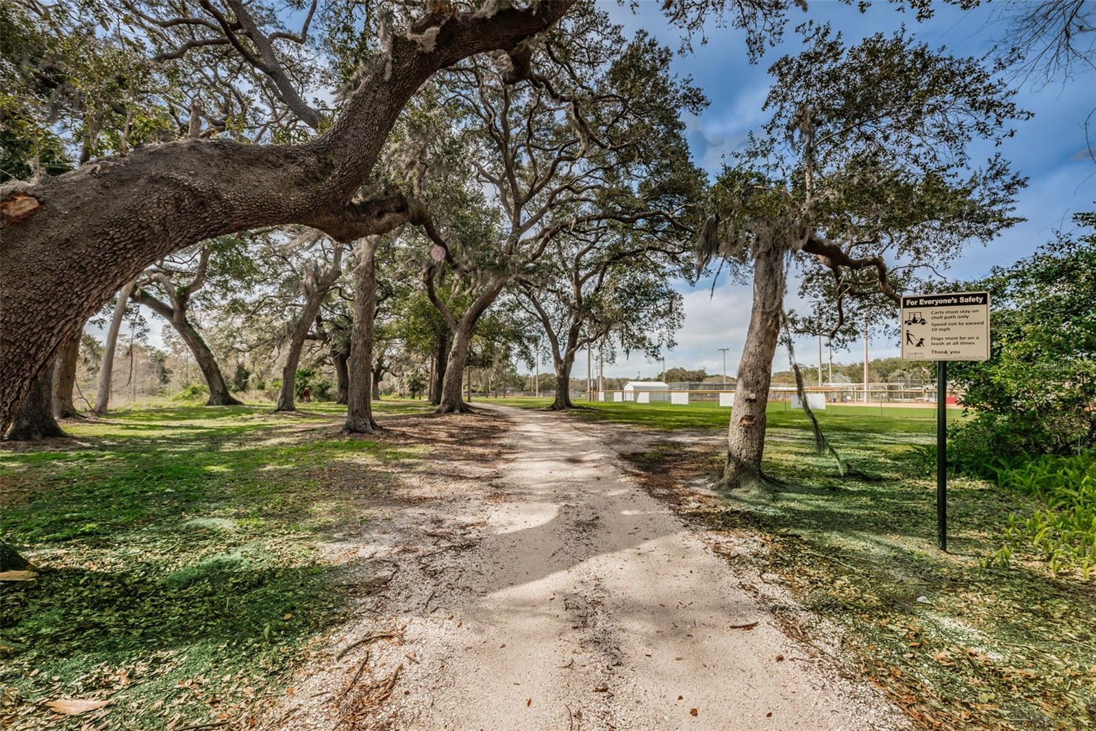 Image 89 of 96 For 546 Orangewood Drive