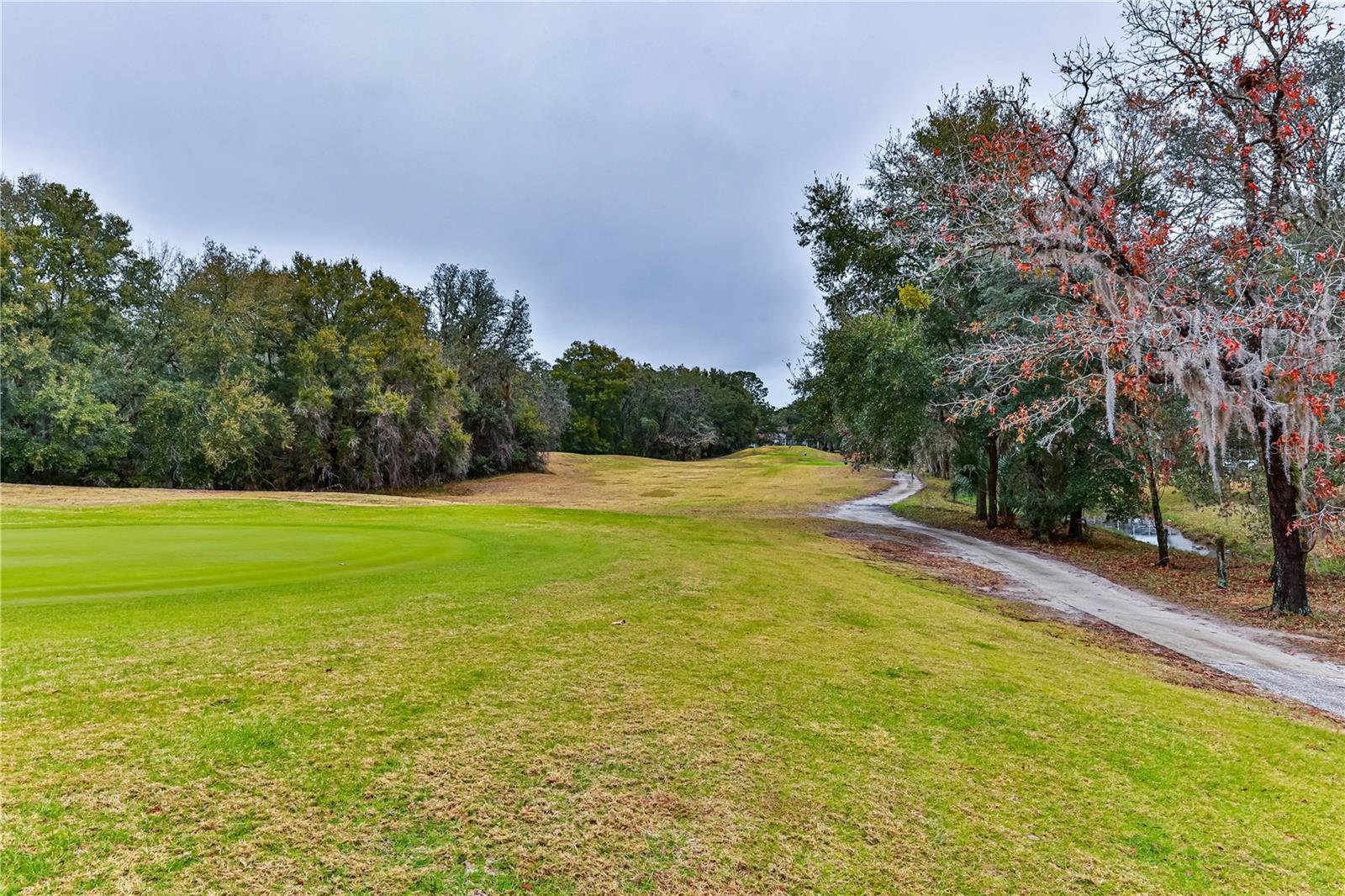 Image 8 of 73 For 706 Lake Diamond Avenue