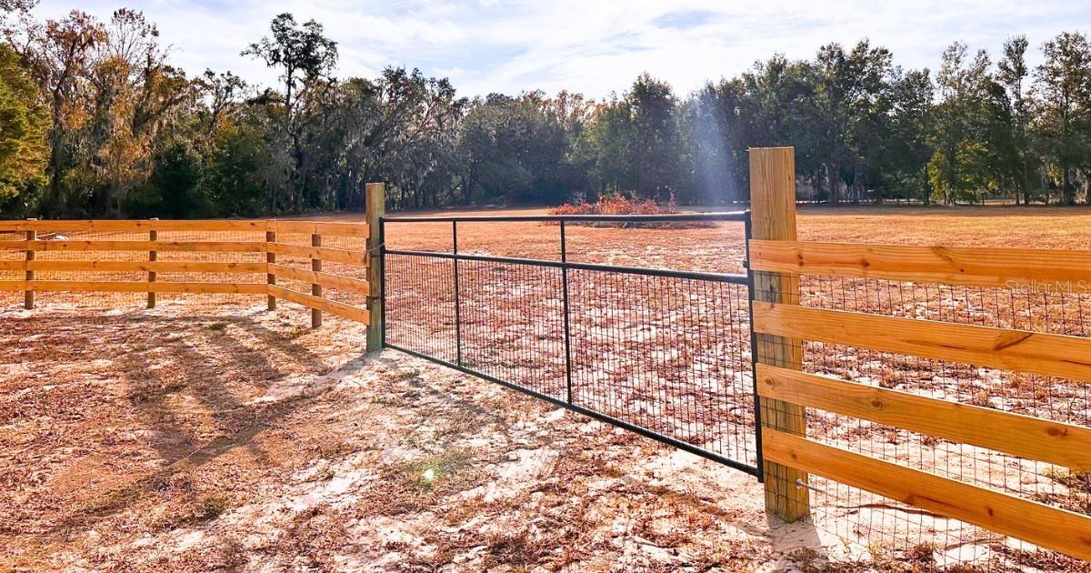 Listing photo id 11 for 11735 Knights Griffin Road