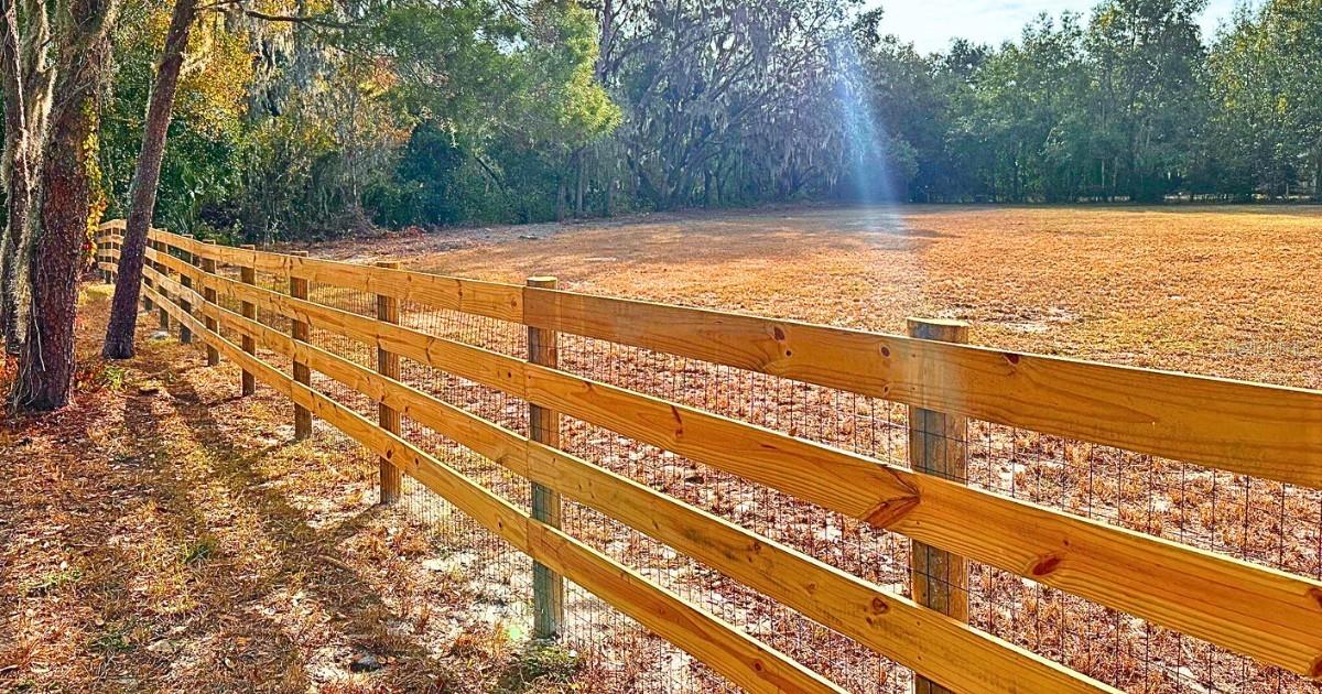 Listing photo id 12 for 11735 Knights Griffin Road