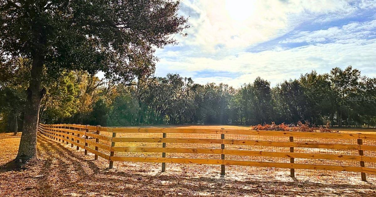 Listing photo id 13 for 11735 Knights Griffin Road