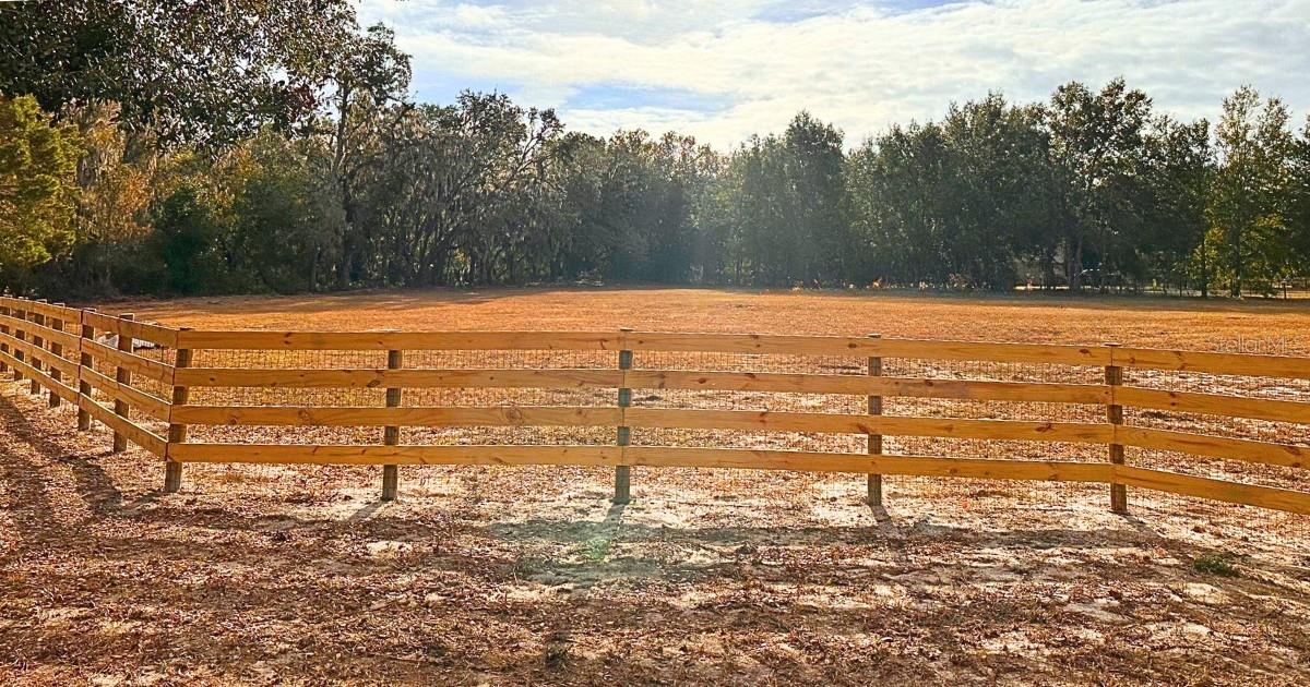 Listing photo id 14 for 11735 Knights Griffin Road