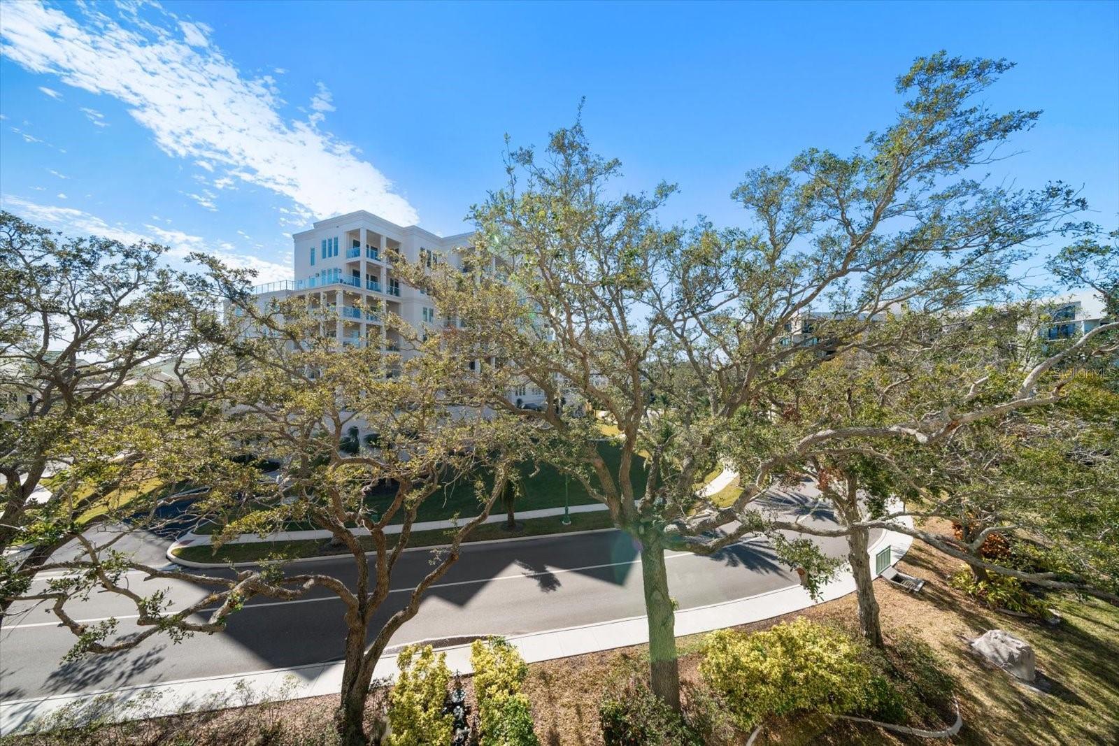 Listing photo id 28 for 220 Belleview Boulevard 501