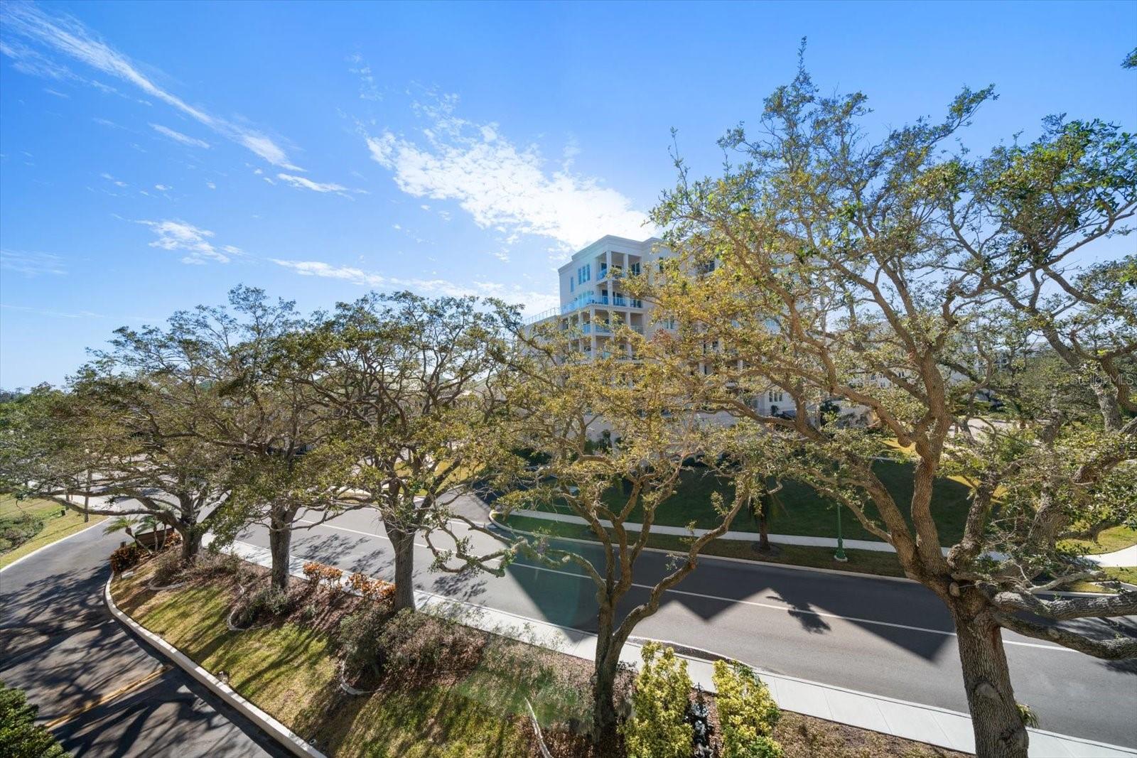 Listing photo id 29 for 220 Belleview Boulevard 501