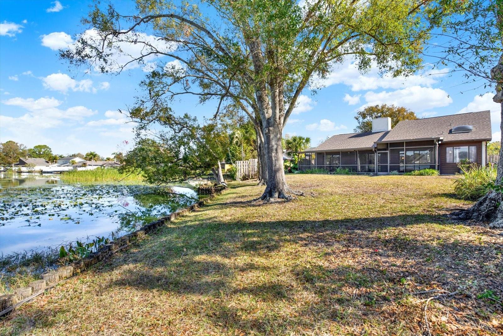 Image 44 of 55 For 8304 Palma Vista Lane