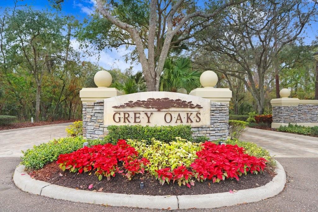 Listing photo id 65 for 2867 Grey Oaks Boulevard