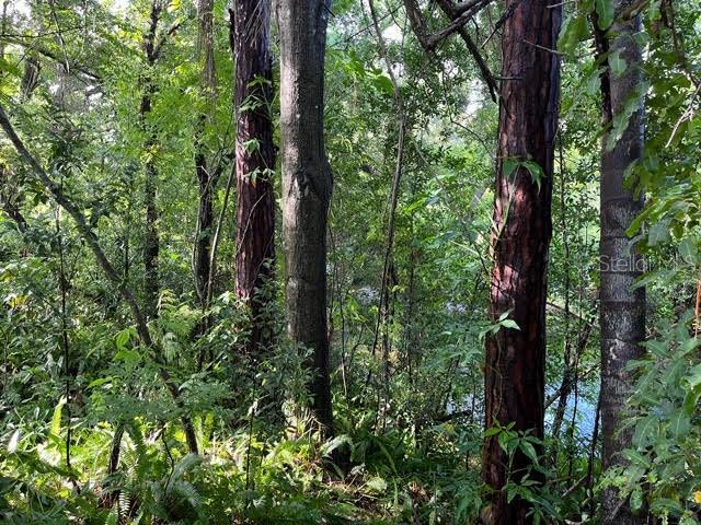 Image 67 of 82 For 1880 Belleair Road