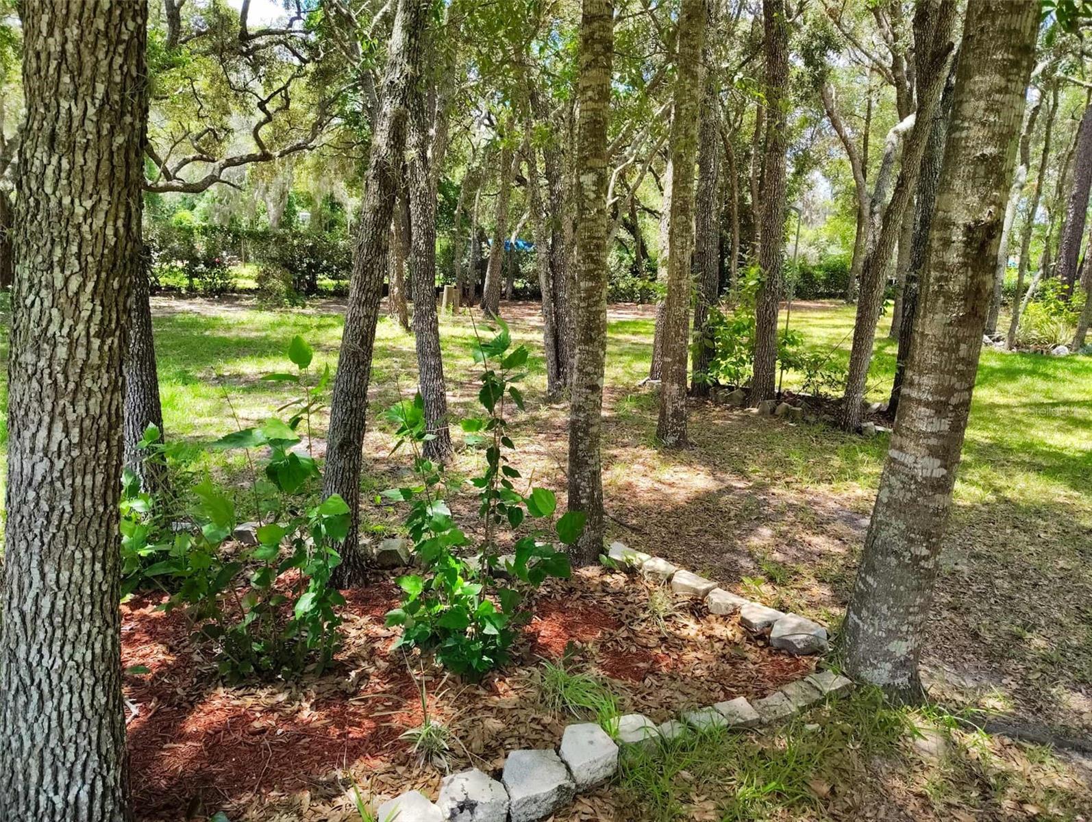 Listing photo id 58 for 6279 Appomattox Lane