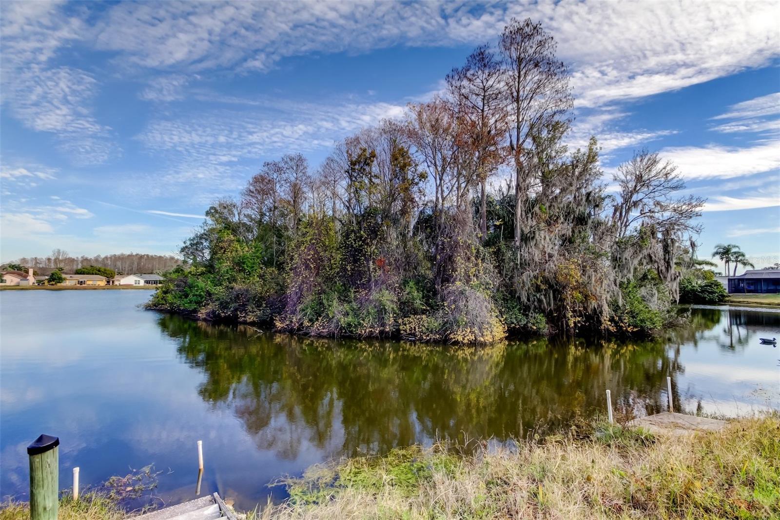 Image 61 of 82 For 4728 Swallowtail Drive