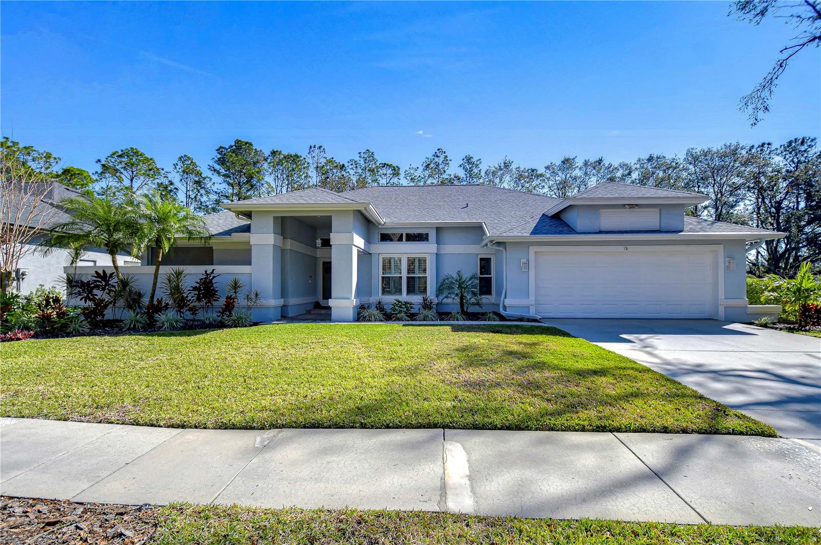 Details for 3914 Turkey Oak Drive, VALRICO, FL 33596