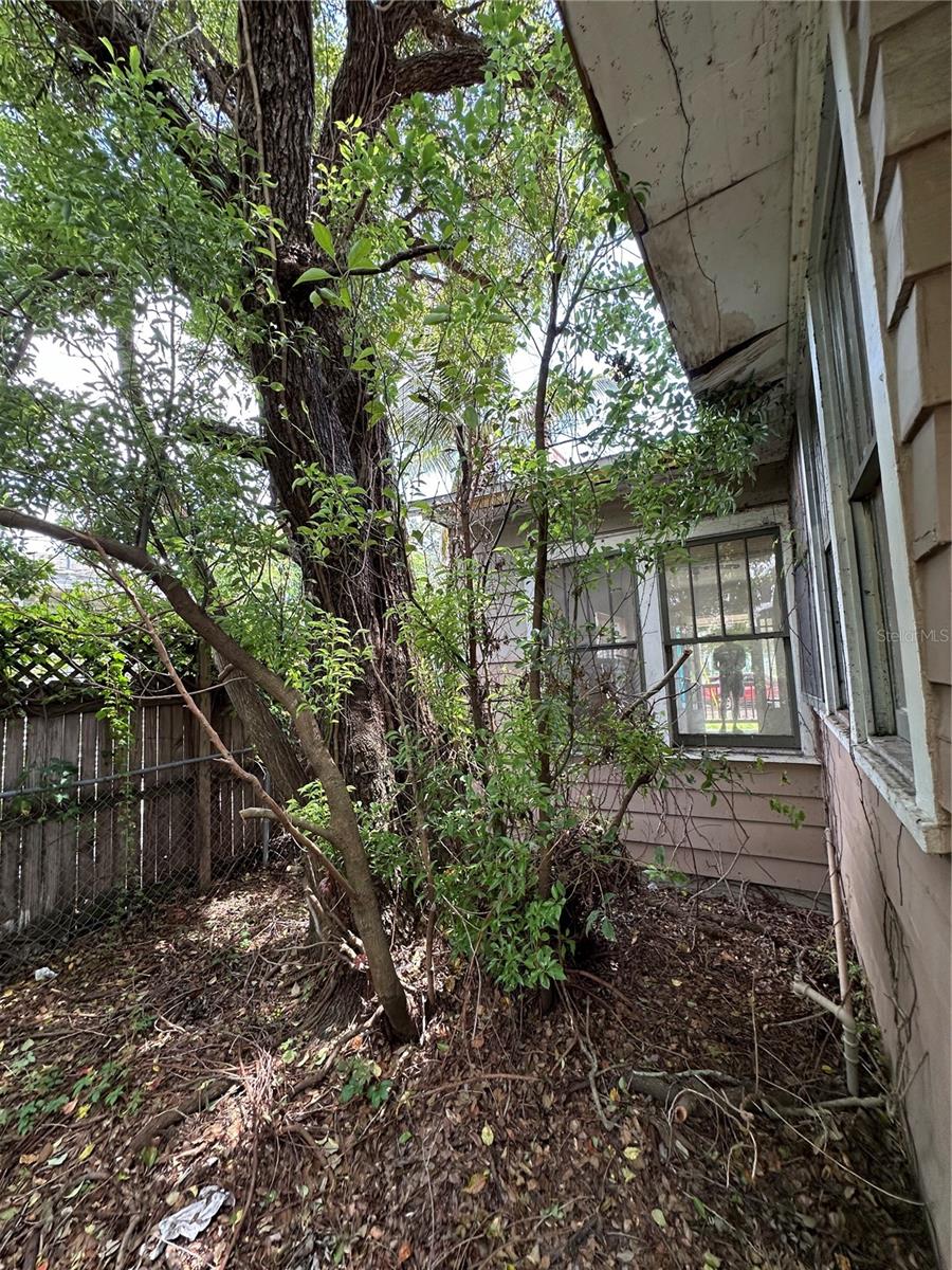 Image 17 of 19 For 1311 11th Avenue S