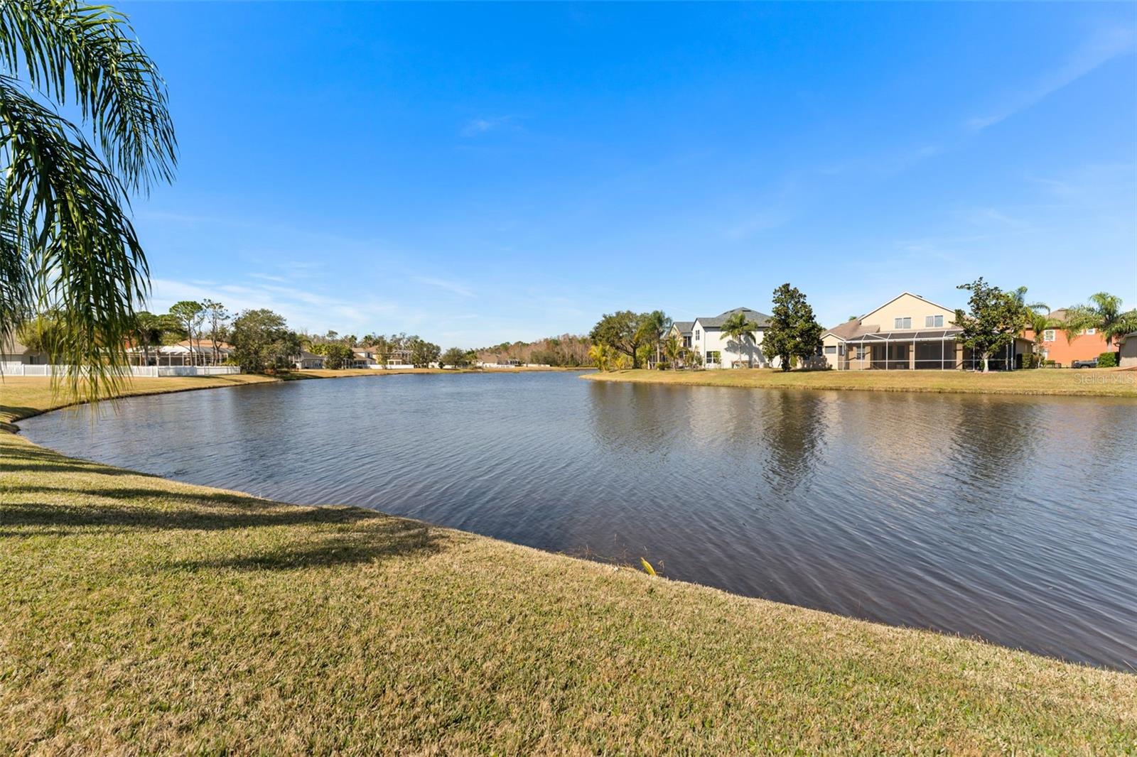 Listing photo id 51 for 26853 Winged Elm Drive