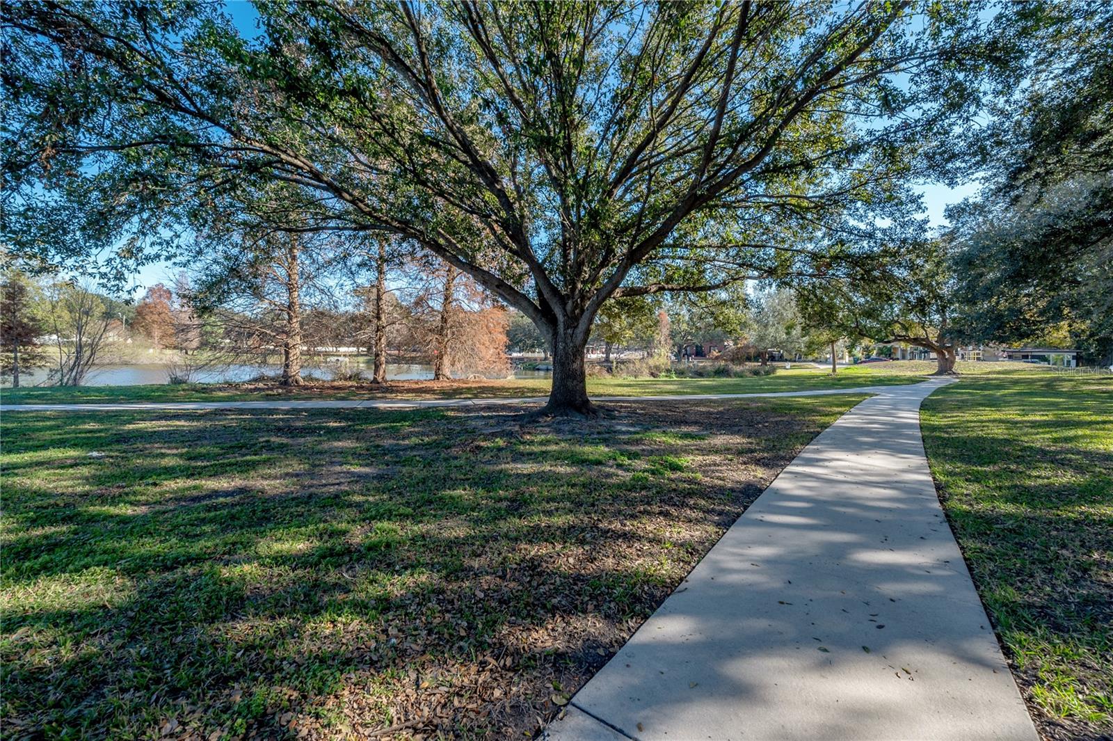 Listing photo id 64 for 409 Adalee Street