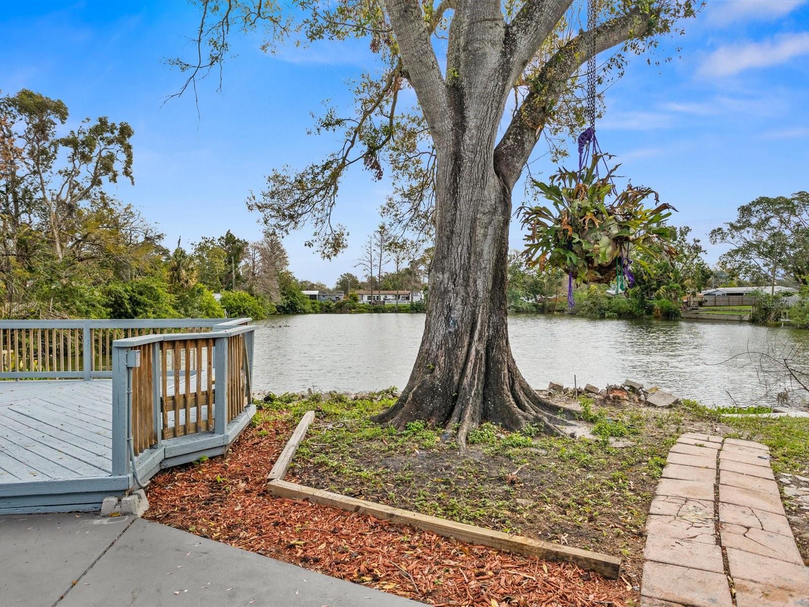 Image 35 of 62 For 8501 47th Street N